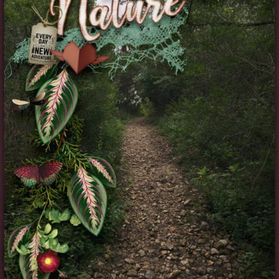 5_Nature