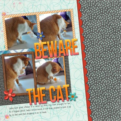Beware the Cat