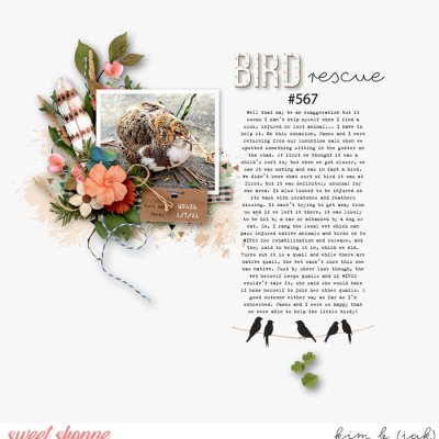 Bird Rescue