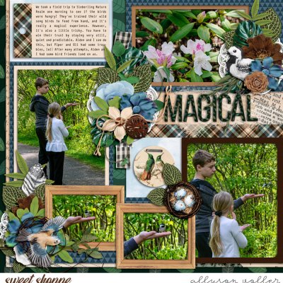Magical birds 01