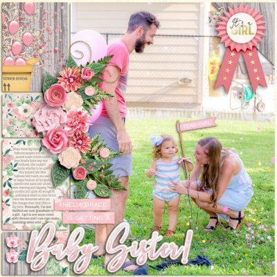 Amelia Grace is Getting a Baby Sister!