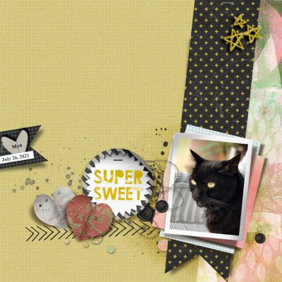 2021 0801 SummerShadowbox