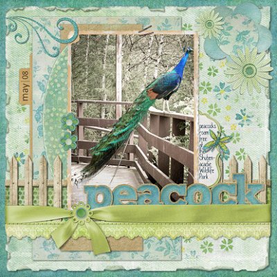 Peacock