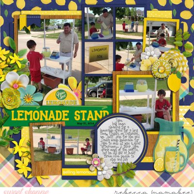 lemonade stand
