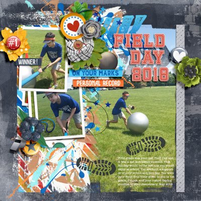 Field Day 2018