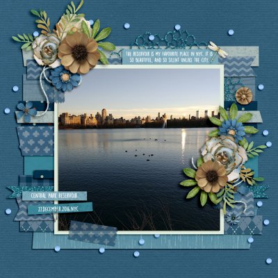 Shadowbox Aug 2021: Aug18 Beautiful - Central Park Reservoir