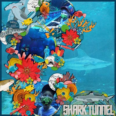 shark-tunnel-sw521