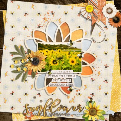 sunflowers