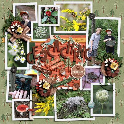 Geocaching 2011