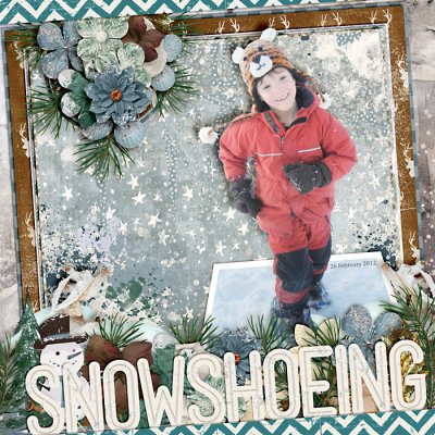 Snowshoeing