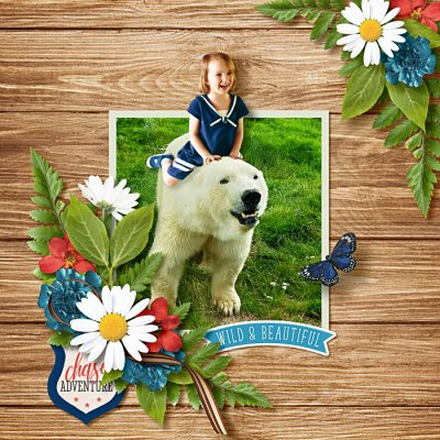 B57_aPocketfulOfDaisies1ByKcroninbarrow700