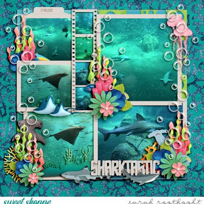 Sharktastic