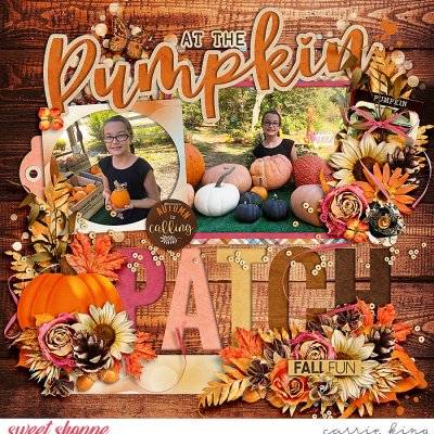 Pumpkin Patch