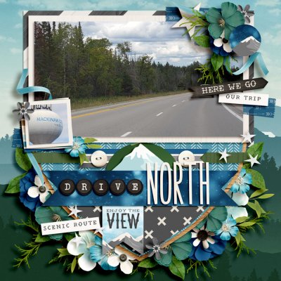 Drive North