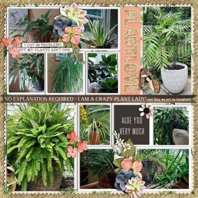 houseplants