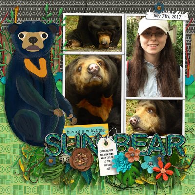 Sun Bear at The Oregon Zoo