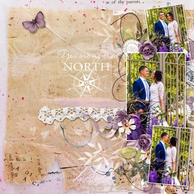 You Are My True North