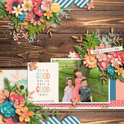 Shadowbox #31