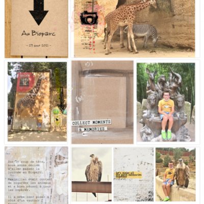 Remember - Bioparc