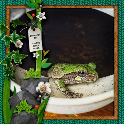 TreeFrog
