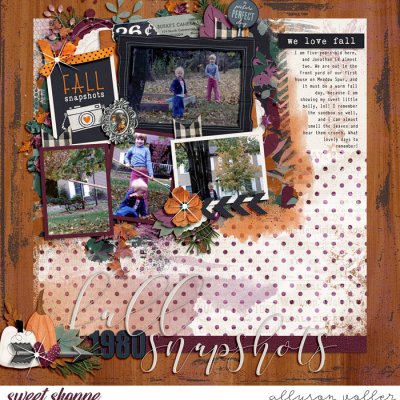 Fall Snapshots 1980