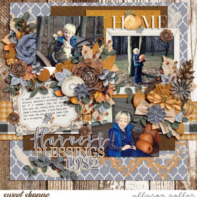 Harvest Blessings 1982