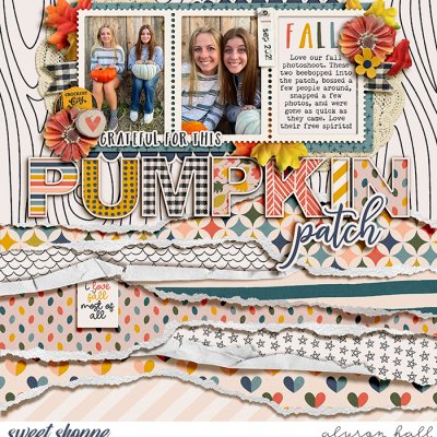 Pumpkin Patch
