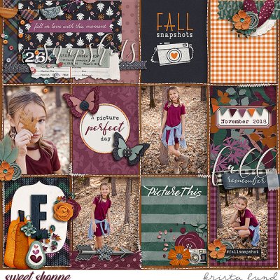 2018 Fall Snapshots