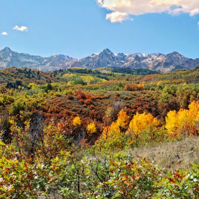SS# 31 Fall Colors