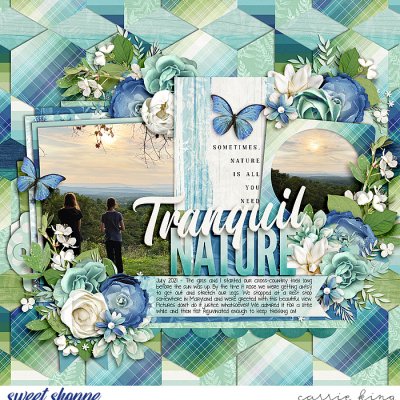 Tranquil Nature