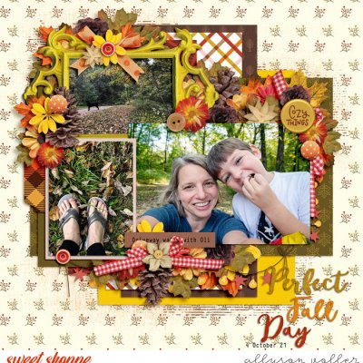 Perfect Fall Day