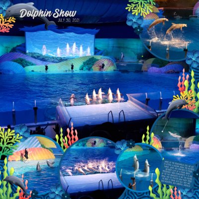 Dolphins