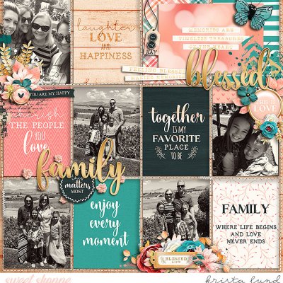 2017 Family Happiness