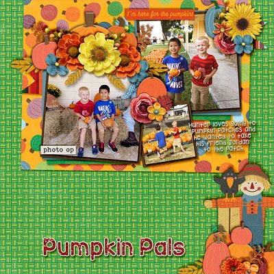 hj-pum-patch-pals