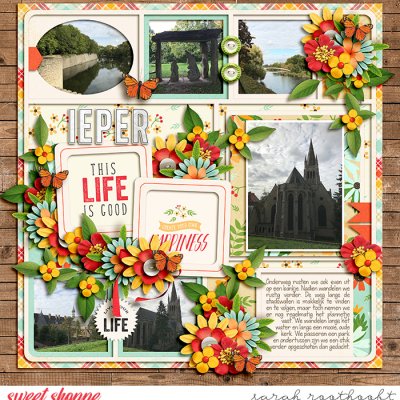 Ieper