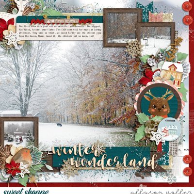 Winter Wonderland