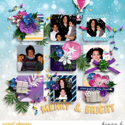Merry Days gone By