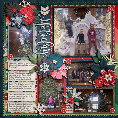 Holiday Lodge 1