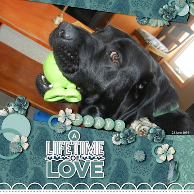 A Lifetime of Love