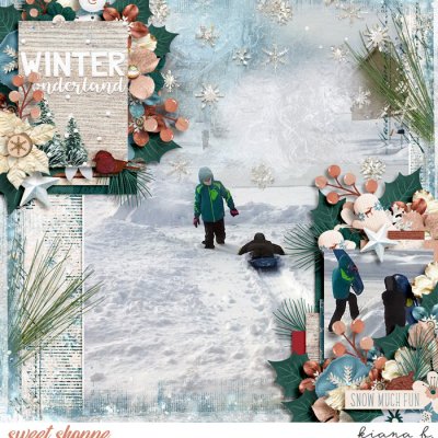 Winter Wonderland