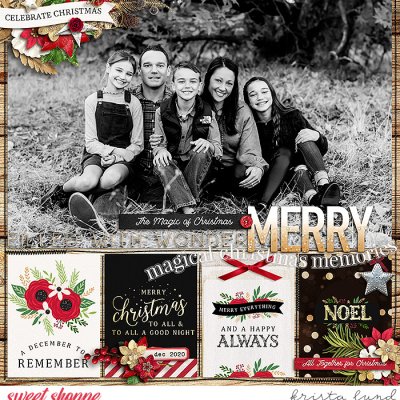 2020 Merry Together