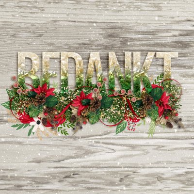 Bedankt (Thank You)