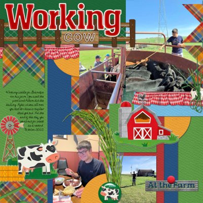Working Cows