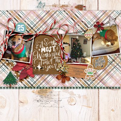 Celebrate December