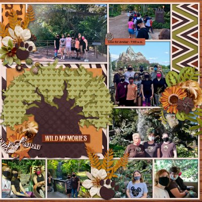 Animal Kingdom, right