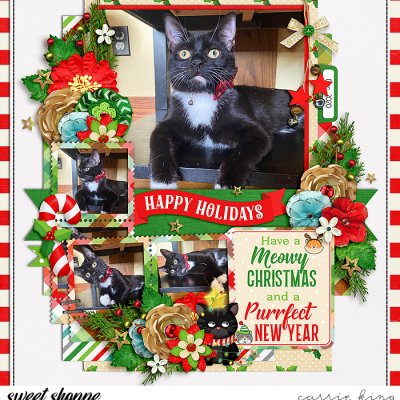 Christmas Kitty