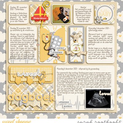 Dagboek page 30