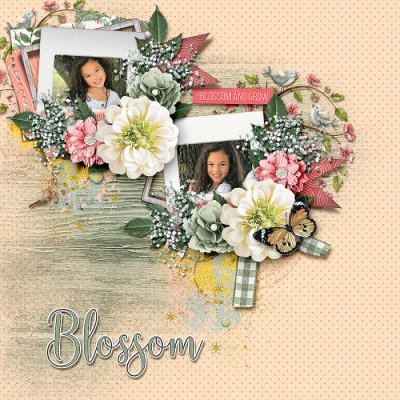 Blossom