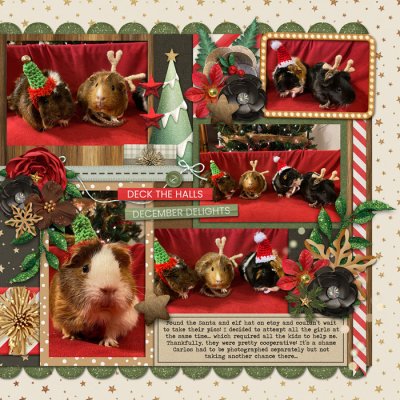 Xmas2020, right side