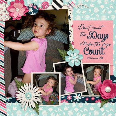 Don't Count the Days